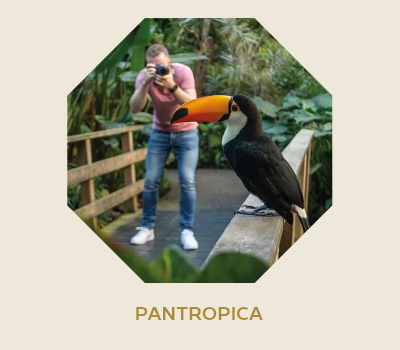 pantropica