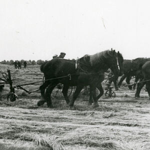 historie-noordoostpolder
